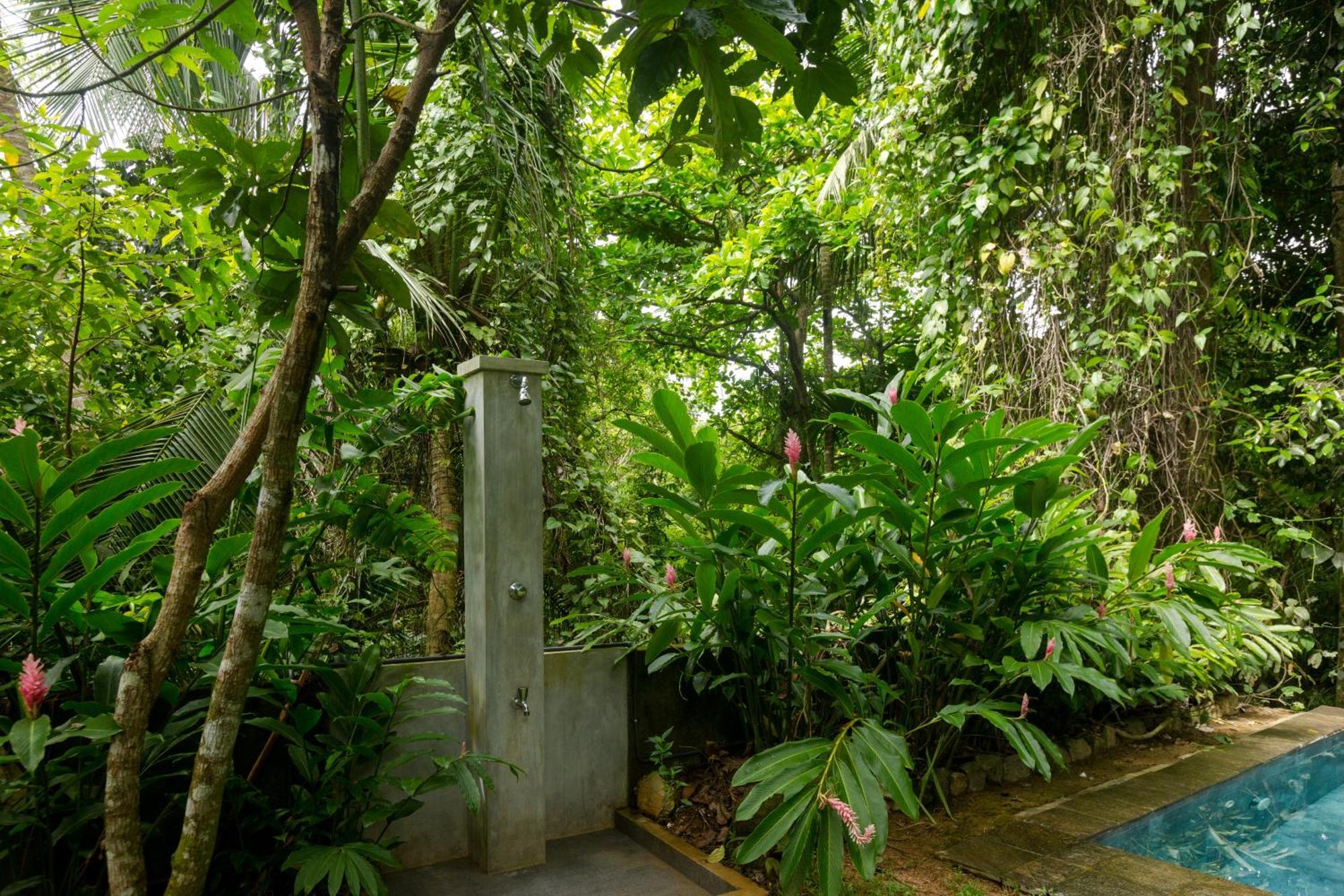 Ceylon Olive Galle Buitenkant foto