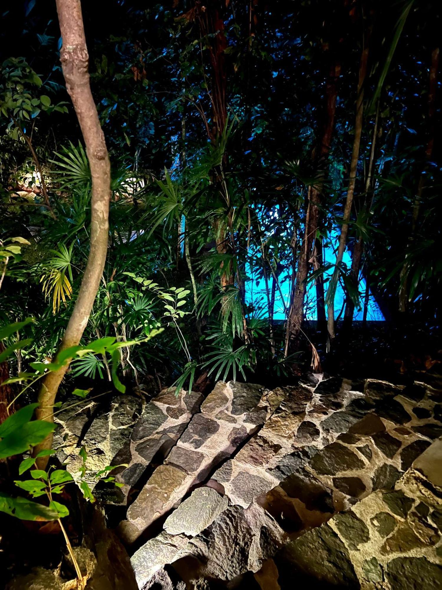 Ceylon Olive Galle Buitenkant foto
