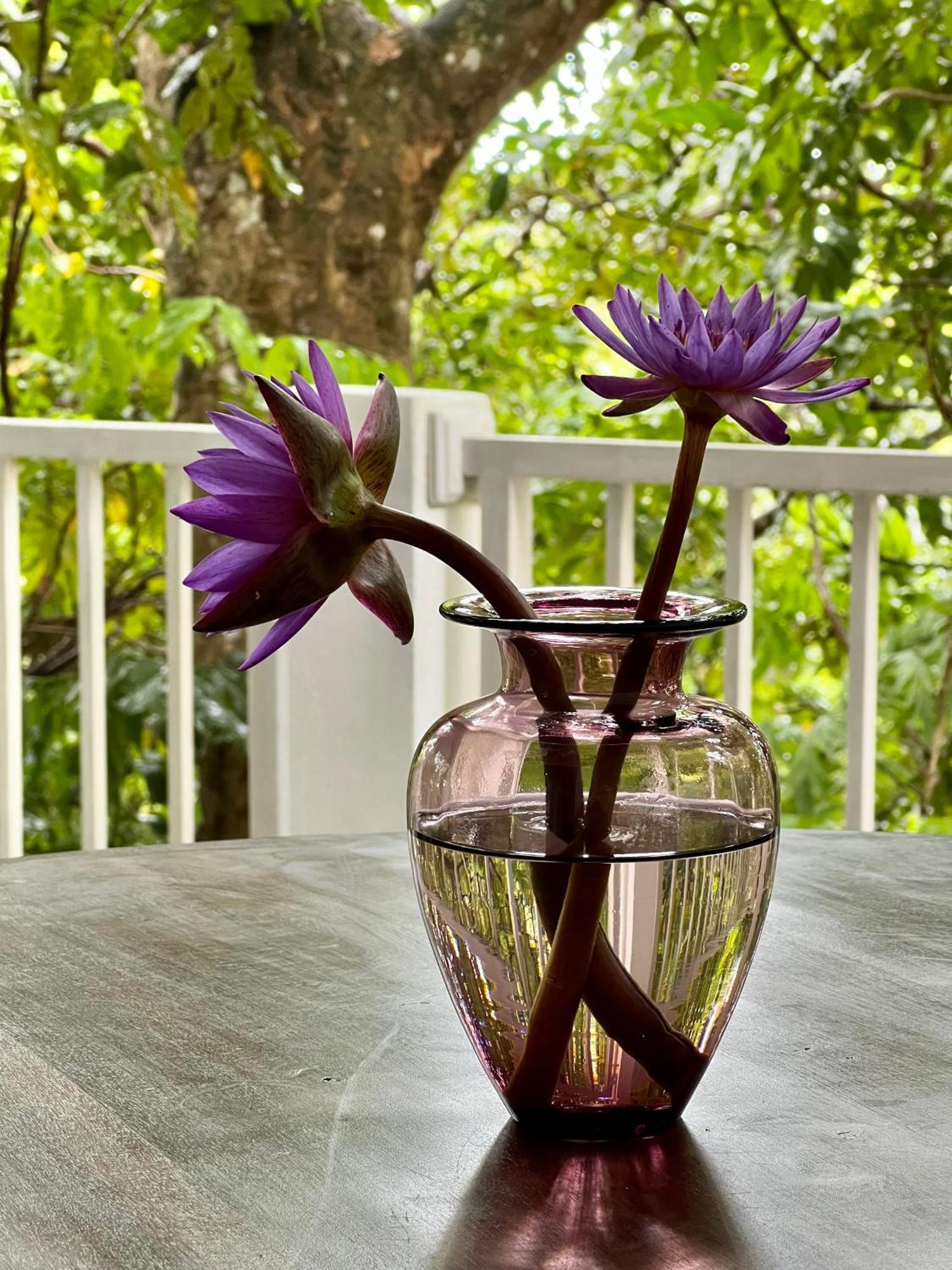 Ceylon Olive Galle Buitenkant foto