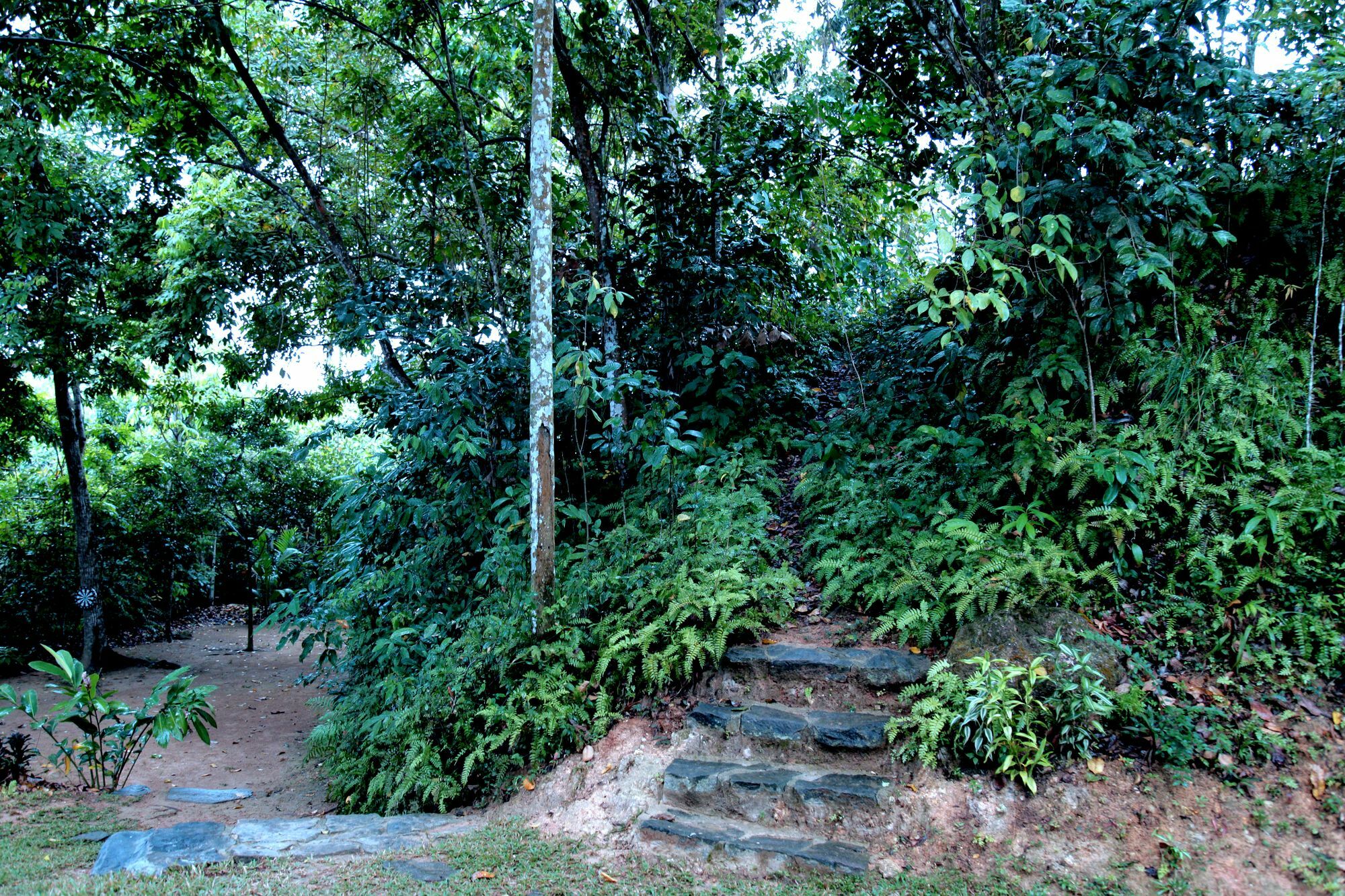 Ceylon Olive Galle Buitenkant foto