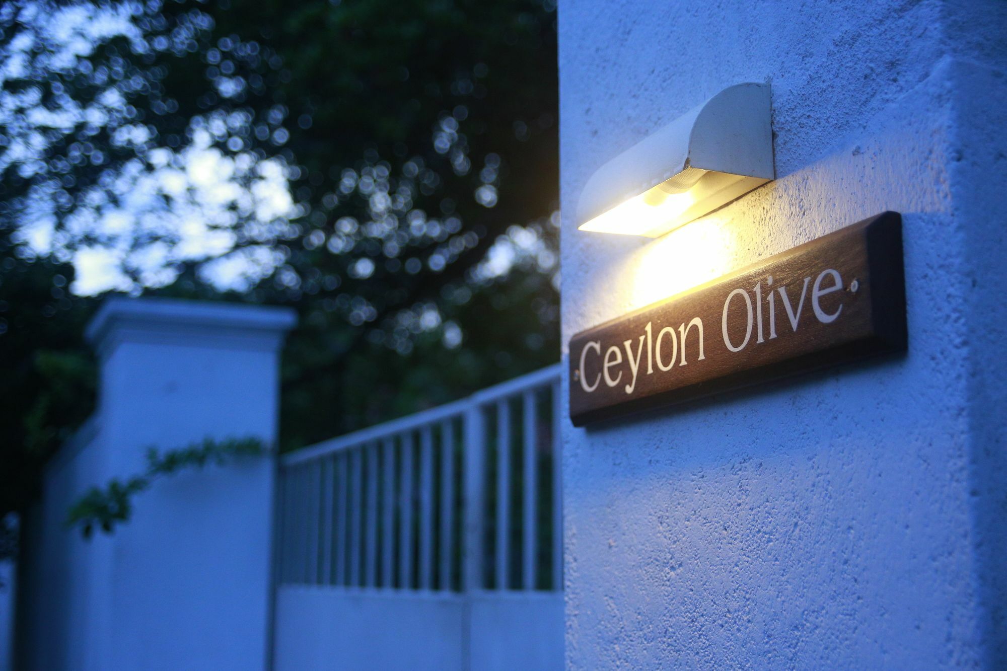 Ceylon Olive Galle Buitenkant foto
